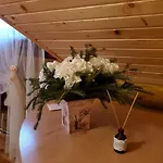 еко яблуницька троянда * Yablunytsya