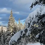 еко яблуницька троянда *