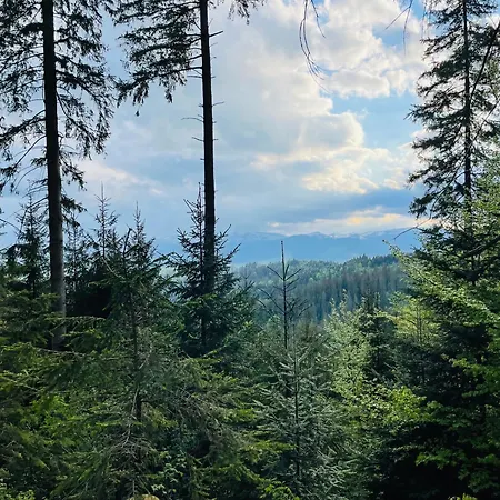 еко яблуницька троянда