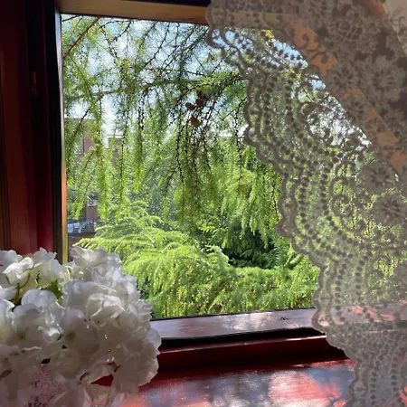 Chalet еко яблуницька троянда *