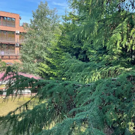 еко яблуницька троянда