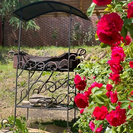 Chalet еко яблуницька троянда