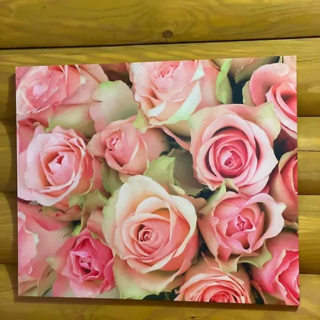 еко яблуницька троянда