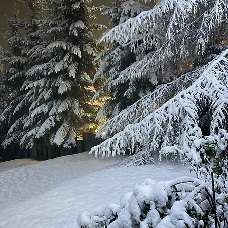 еко яблуницька троянда * Jabłonica