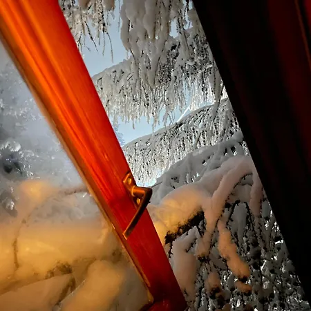 еко яблуницька троянда Jabłonica