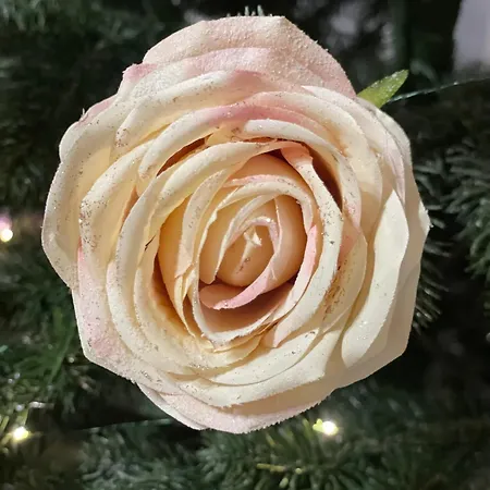 еко яблуницька троянда Domek alpejski