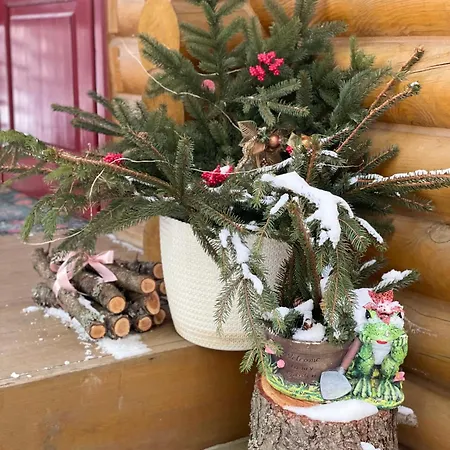 еко яблуницька троянда Domek alpejski *