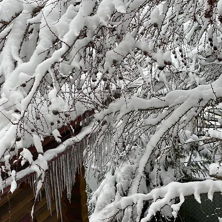 Chalet еко яблуницька троянда Yablunytsia