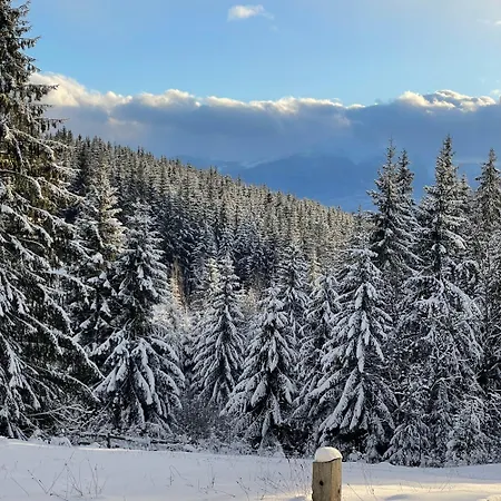 еко яблуницька троянда Domek alpejski