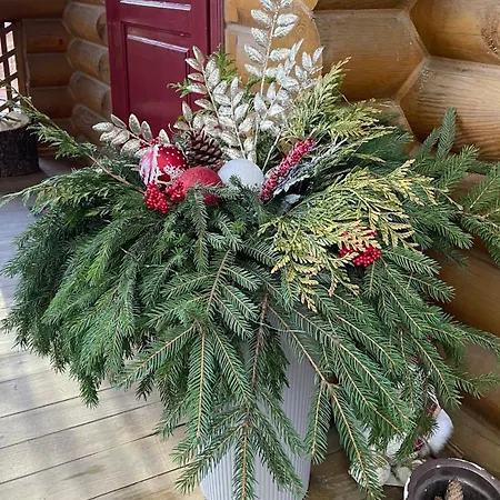 еко яблуницька троянда *